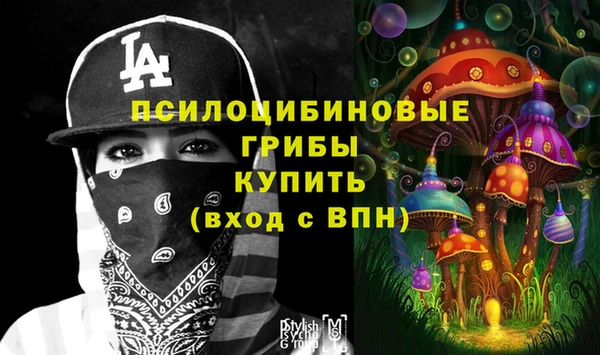 первитин Заводоуковск