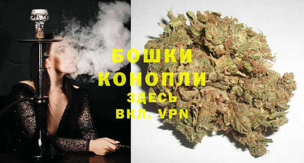 первитин Заводоуковск