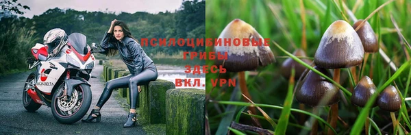 экстази Приозерск