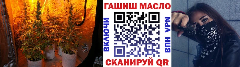 Купить где  Миньяр  ТГК гашишное масло 