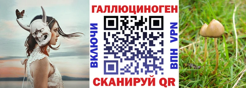 Купить  Миньяр  Галлюциногенные грибы прущие грибы 